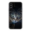 Дизайнерский силиконовый чехол для Iphone x10 Кошки