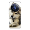 Дизайнерский силиконовый чехол для Realme 12 Plus 5G Собаки