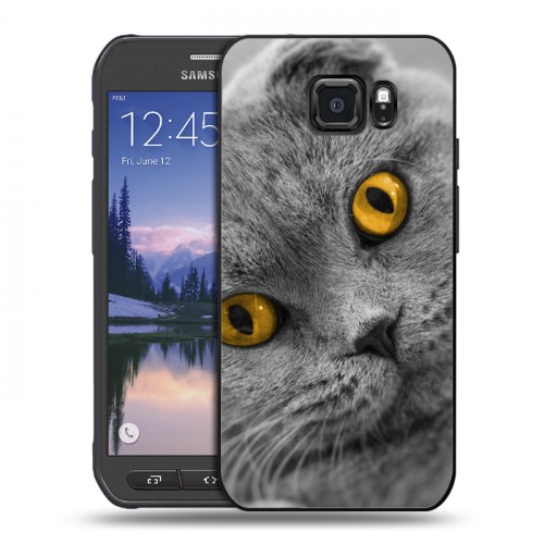 Дизайнерский пластиковый чехол для Samsung Galaxy S6 Active Кошки