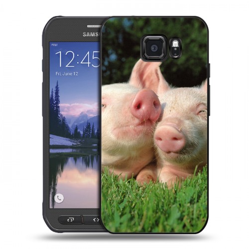 Дизайнерский пластиковый чехол для Samsung Galaxy S6 Active Свинки