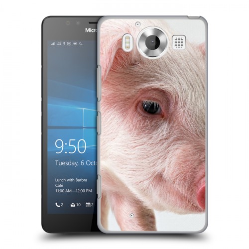Дизайнерский пластиковый чехол для Microsoft Lumia 950 Свинки
