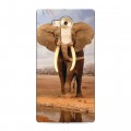 Дизайнерский пластиковый чехол для Huawei Mate 8 Слоны