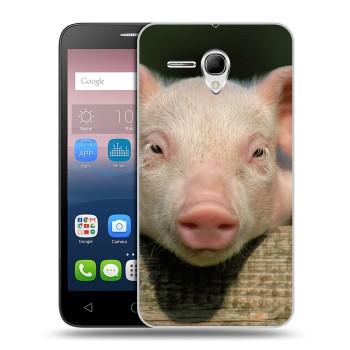 Дизайнерский силиконовый чехол для Alcatel One Touch POP 3 5.5 Свинки (на заказ)