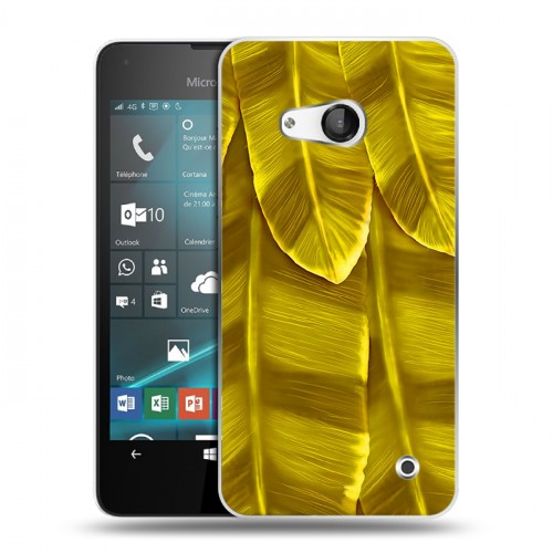Дизайнерский пластиковый чехол для Microsoft Lumia 550 Контрастные перья