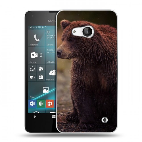 Дизайнерский пластиковый чехол для Microsoft Lumia 550 Медведи