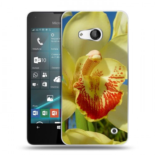 Дизайнерский пластиковый чехол для Microsoft Lumia 550 Орхидеи