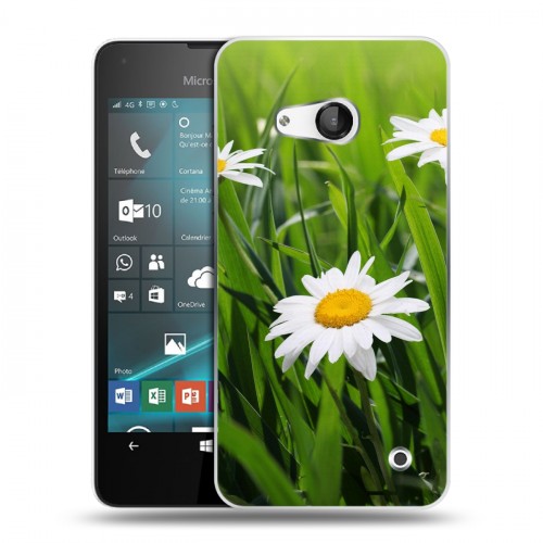 Дизайнерский пластиковый чехол для Microsoft Lumia 550 Ромашки