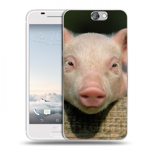 Дизайнерский пластиковый чехол для HTC One A9 Свинки