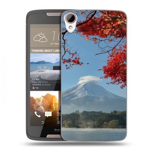 Дизайнерский пластиковый чехол для HTC Desire 828 вулкан