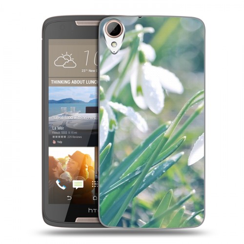 Дизайнерский пластиковый чехол для HTC Desire 828 Подснежники
