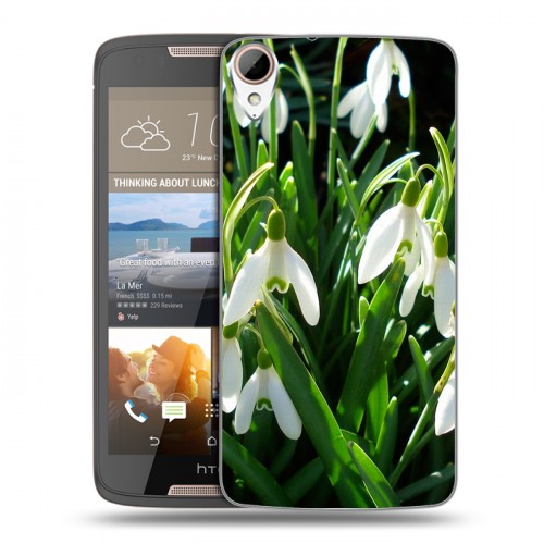 Дизайнерский пластиковый чехол для HTC Desire 828 Подснежники