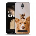 Дизайнерский пластиковый чехол для ASUS ZenFone Go 4.5 Собака и котенок