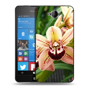Дизайнерский силиконовый чехол для Microsoft Lumia 650 Орхидеи (на заказ)