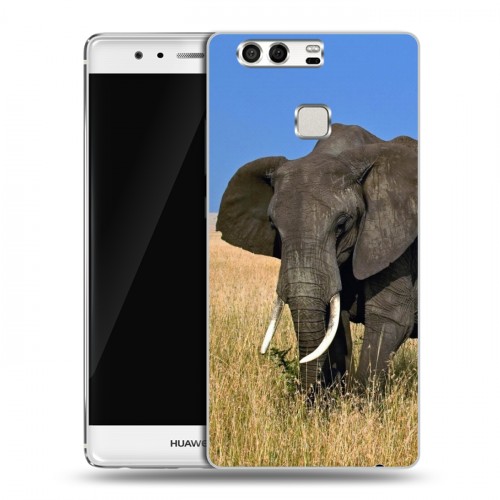 Дизайнерский силиконовый чехол для Huawei P9 Слоны