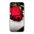 Дизайнерский силиконовый с усиленными углами чехол для Iphone 7 Розы