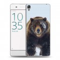 Дизайнерский пластиковый чехол для Sony Xperia XA Медведь