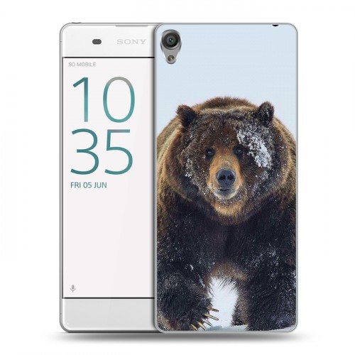 Дизайнерский пластиковый чехол для Sony Xperia XA Медведь