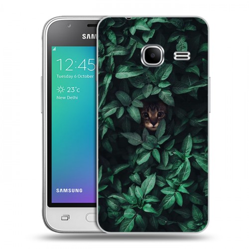 Дизайнерский силиконовый чехол для Samsung Galaxy J1 mini (2016) Нуарные листья