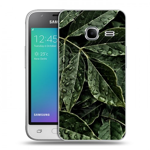 Дизайнерский силиконовый чехол для Samsung Galaxy J1 mini (2016) Нуарные листья