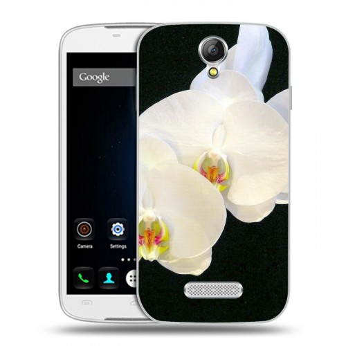 Дизайнерский пластиковый чехол для Doogee X6 Орхидеи
