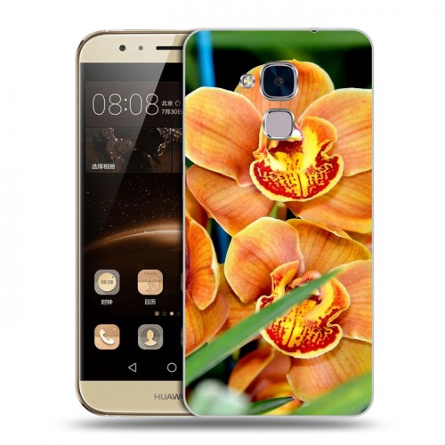 Дизайнерский пластиковый чехол для Huawei Honor 5C Орхидеи