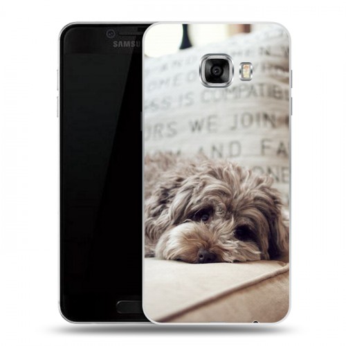 Дизайнерский пластиковый чехол для Samsung Galaxy C7 Собаки