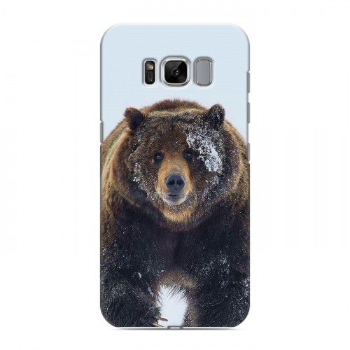 Дизайнерский силиконовый чехол для Samsung Galaxy S8 Медведь