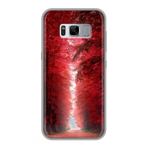 Дизайнерский силиконовый чехол для Samsung Galaxy S8 Plus Лес