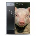 Дизайнерский силиконовый чехол для Sony Xperia XZ Premium Свинки
