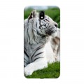 Дизайнерский пластиковый чехол для Samsung Galaxy J7 (2017) Тигры