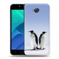 Дизайнерский пластиковый чехол для ASUS ZenFone 4 Selfie Пингвины