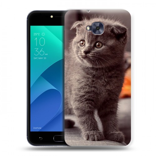 Дизайнерский пластиковый чехол для ASUS ZenFone 4 Selfie Котята