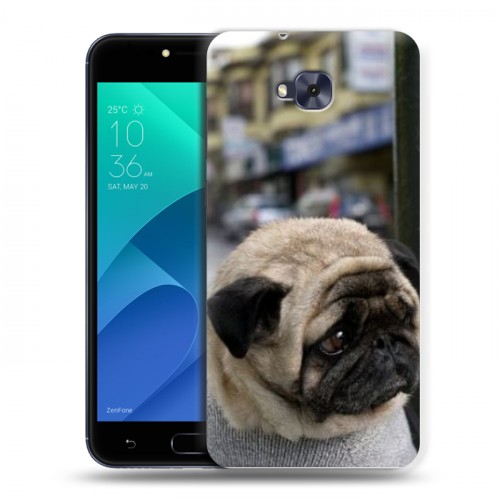 Дизайнерский пластиковый чехол для ASUS ZenFone 4 Selfie Собаки