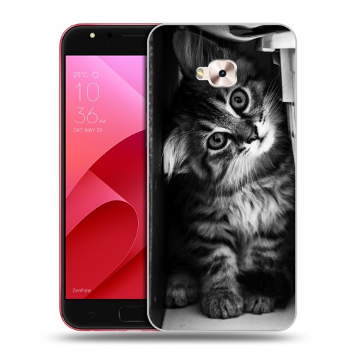 Дизайнерский пластиковый чехол для ASUS ZenFone 4 Selfie Pro Котята