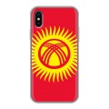 Дизайнерский силиконовый чехол для Iphone x10 флаг Киргизии