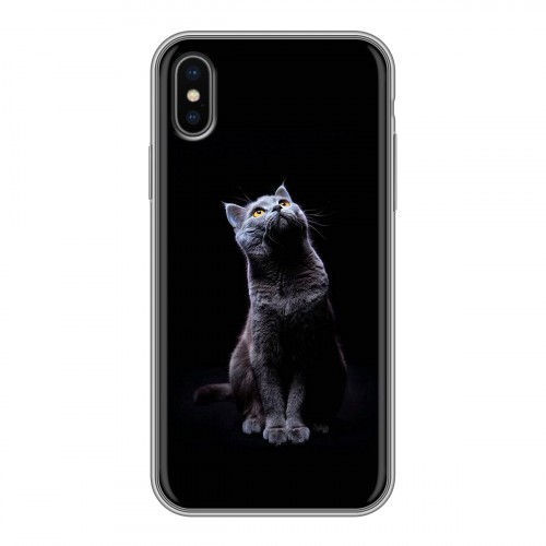 Дизайнерский силиконовый чехол для Iphone x10 Коты