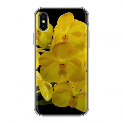 Дизайнерский силиконовый чехол для Iphone x10 Орхидеи