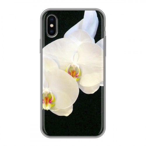 Дизайнерский силиконовый чехол для Iphone x10 Орхидеи