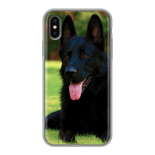 Дизайнерский силиконовый чехол для Iphone x10 Собаки