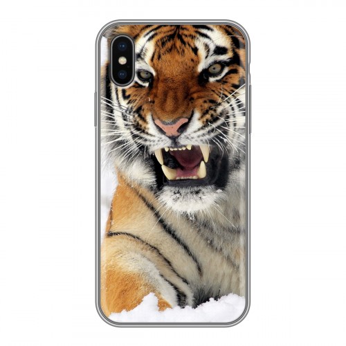 Дизайнерский силиконовый чехол для Iphone x10 Тигры
