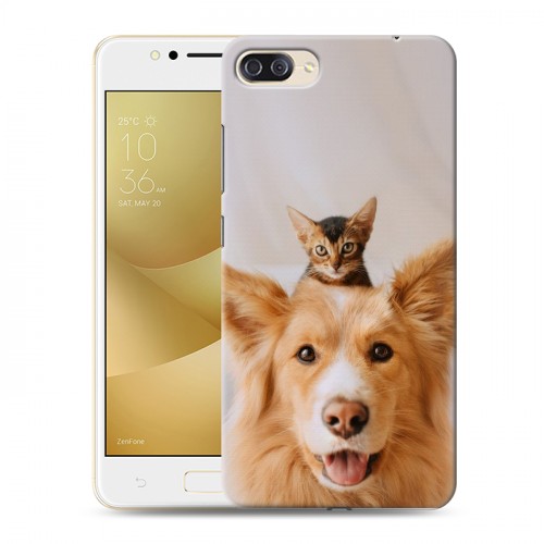 Дизайнерский пластиковый чехол для ASUS ZenFone 4 Max ZC520KL Собака и котенок