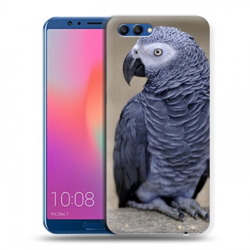 Дизайнерский пластиковый чехол для Huawei Honor View 10 Попугаи