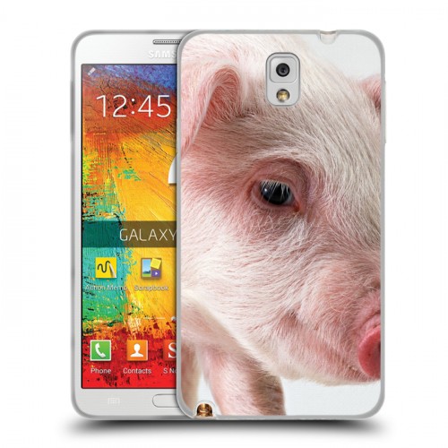 Дизайнерский пластиковый чехол для Samsung Galaxy Note 3 Свинки
