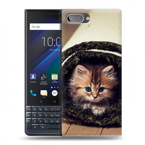 Дизайнерский пластиковый чехол для BlackBerry KEY2 LE Кошки