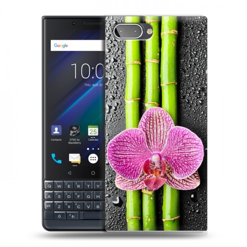 Дизайнерский пластиковый чехол для BlackBerry KEY2 LE Орхидеи