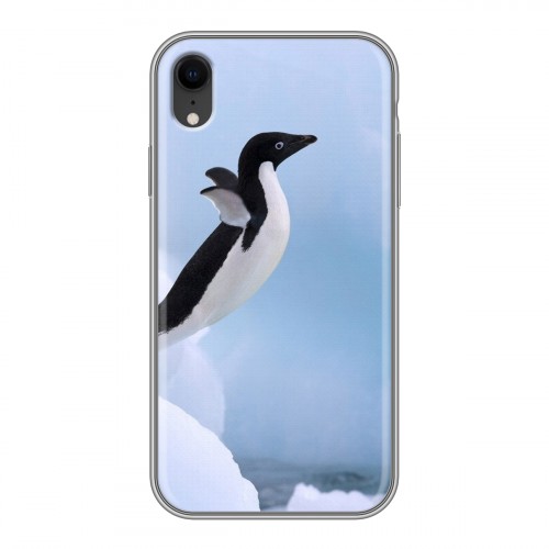 Дизайнерский силиконовый чехол для Iphone Xr Пингвины