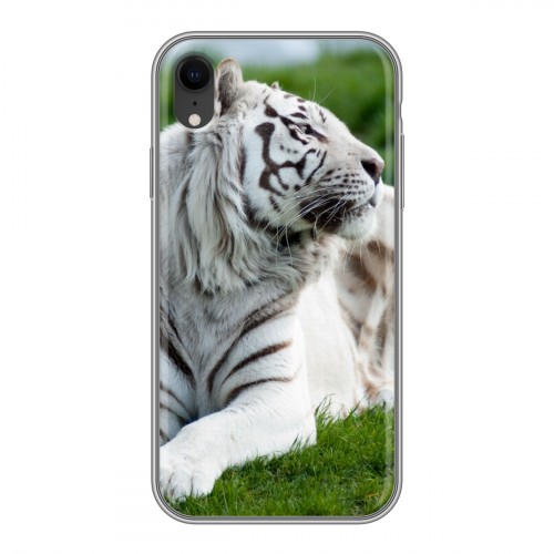 Дизайнерский силиконовый чехол для Iphone Xr Тигры