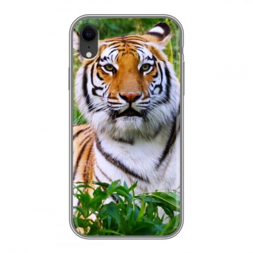 Дизайнерский силиконовый чехол для Iphone Xr Тигры