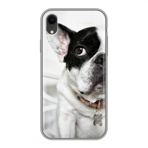 Дизайнерский силиконовый чехол для Iphone Xr Собаки