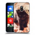 Дизайнерский пластиковый чехол для Nokia Lumia 620 Котята